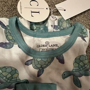 NWT Caden Lane Totally Turtles 2T